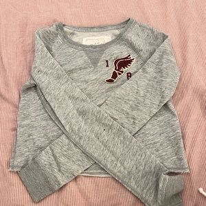 Abercrombie and fitch cropped hoodie
